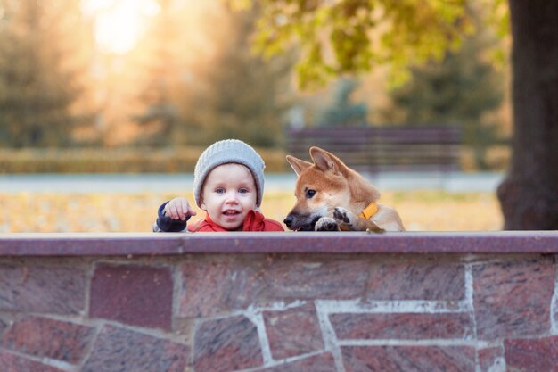 Kleine jongen en rode shiba inu puppy plezier buitenshuis in herfst park. hond vriend man concept