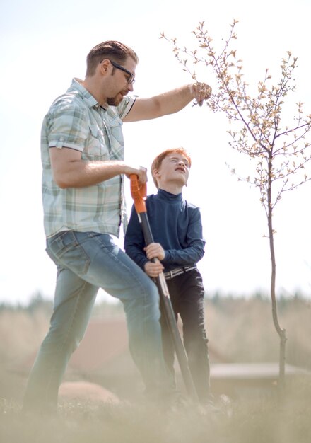 Kleine jongen helpt zijn vader een boom te planten