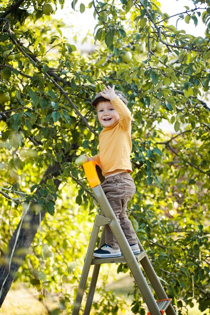 Kleine jongen in een pet op de trap bij de appelboom in de tuin