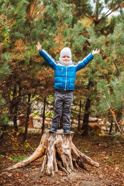 Kleine jongen in herfstoutfit bij bos op boomstronk