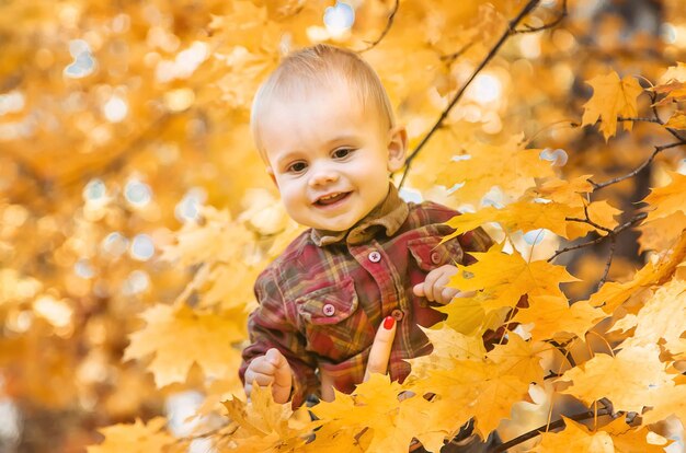 Kleine jongen in het park op herfstbladeren Selectieve focus