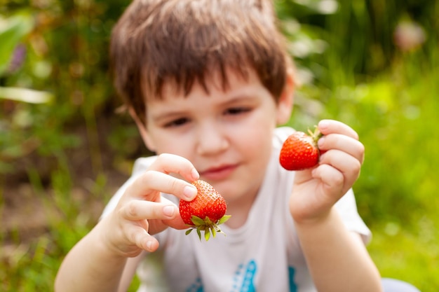 Kleine jongen kijkt naar vers geplukte rijpe aardbeien terwijl hij in de tuin hurkt