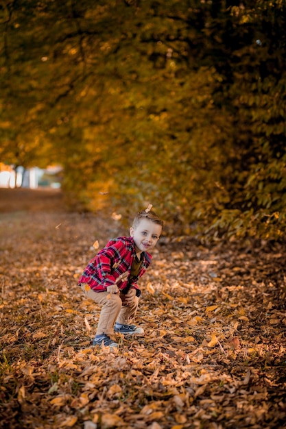 Kleine jongen loopt in de natuur in de herfst een kleuter in het herfstpark in gele bladeren