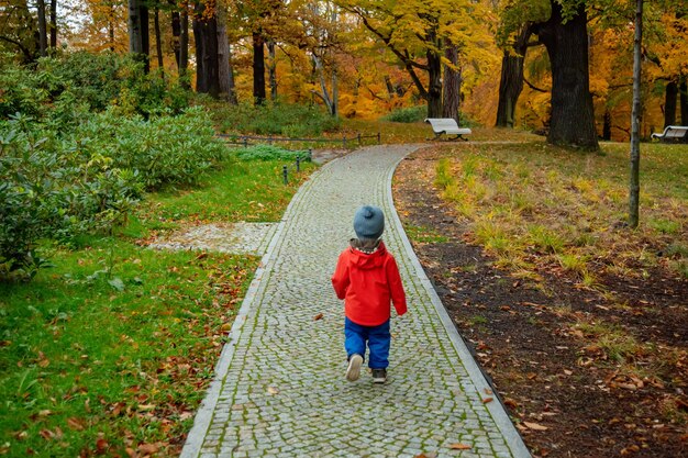 Kleine jongen loopt op steegje in een herfstpark