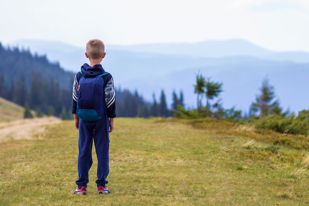 Kleine jongen met een rugzak wandelen in de schilderachtige zomer groene Karpaten