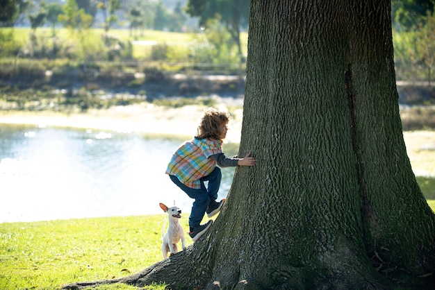 Kleine jongen met hond klimt in een boom kind speelt met puppy in een park en klimt