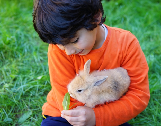 Kleine jongen met konijn