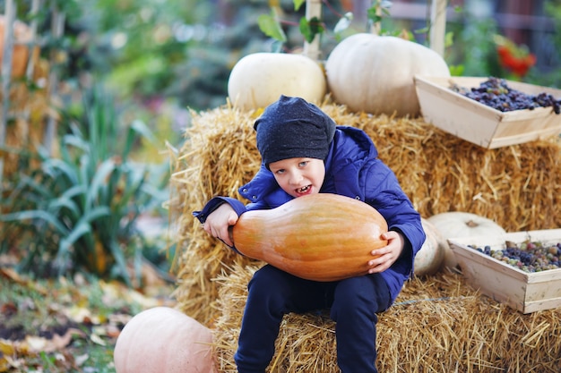 Kleine jongen met plezier tijdens een rondleiding door een pompoenboerderij