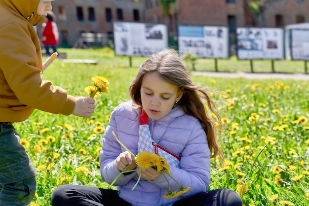 Kleine jongen met zijn zus plukt gele paardebloemen zittend