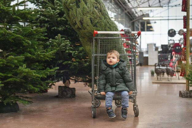 Kleine jongen op een kruiwagen kiest een kerstboom op de markt