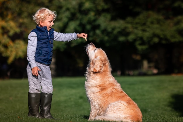 Kleine jongen speelt en traint golden retriever hond in het veld in zomerdag samen Schattig kind met hondje huisdier portret in de natuur