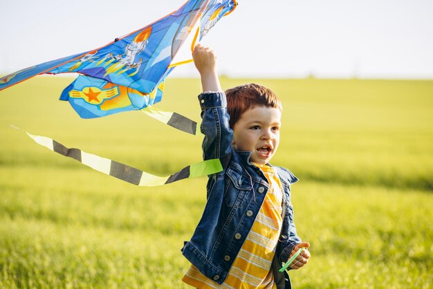 Kleine jongen speelt met vlieger op een groene weide