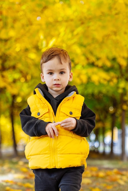 Kleine jongen staat in bladeren Een kleine jongen staat omringd door gevallen bladeren op een zonnige herfstdag