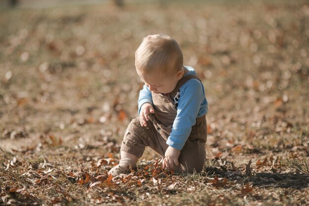 kleine jongen van 7 maanden oud zit op de herfstbladeren en loopt in de frisse lucht