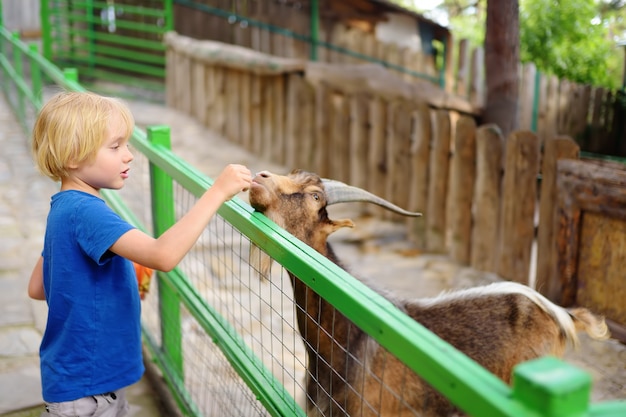 Foto kleine jongen voederen geit