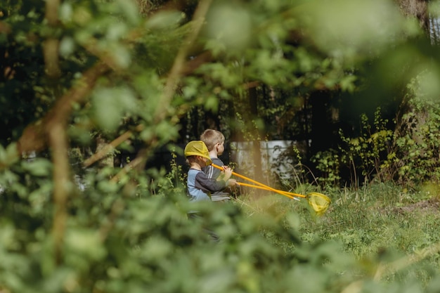 Kleine jongens met vlindernetten op het platteland met selectieve focus