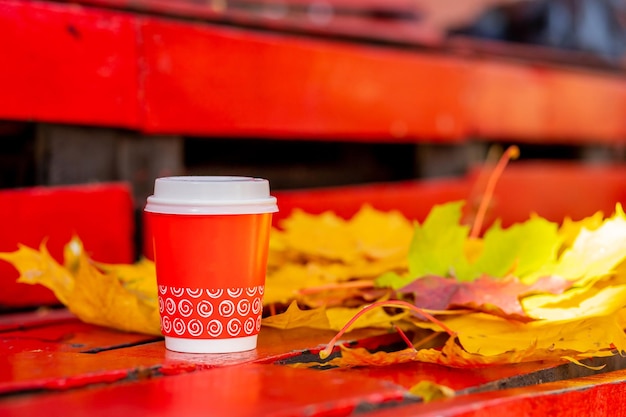 Kleine kartonnen lege afhaalmaaltijden koffiekopje op bankje in de herfst gevallen bladeren close-up opwarmen met aromatische koffie warme drankseizoen advertentie en dranken concept mock up