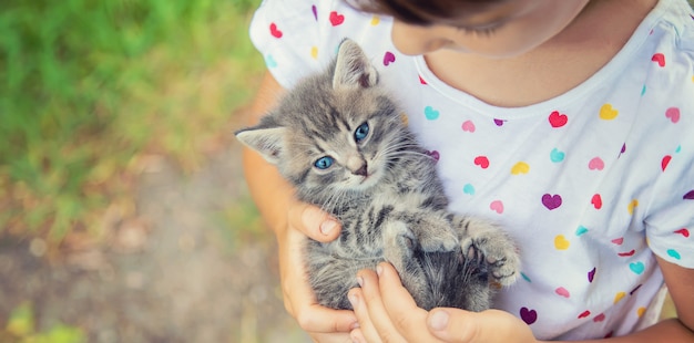 Kleine katjes in de handen van kinderen.