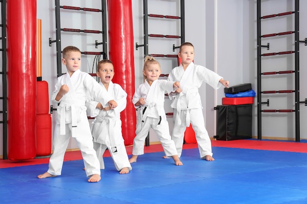 Kleine kinderen die karate beoefenen in de dojo