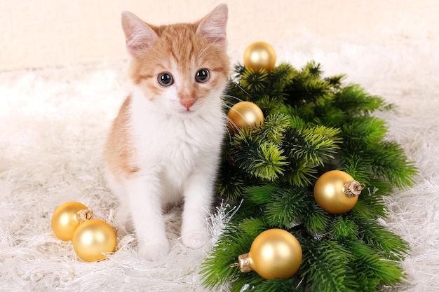 Kleine kitten met kerstversiering op tapijt