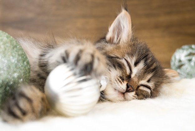 Kleine kitten slapen op een witte zachte deken met kerstballen.