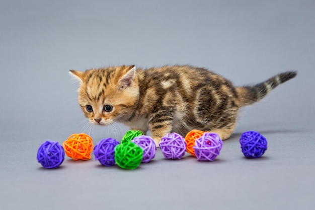 Kleine kitten speelt met ballen