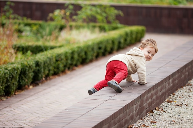 Kleine lachende jongen kruipt in het park