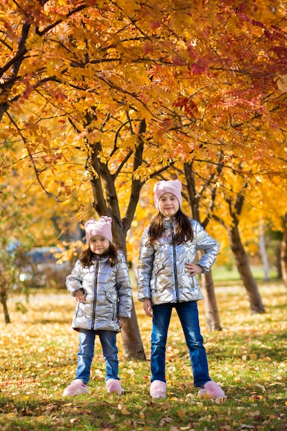 Kleine meisjes in identieke kleding hebben plezier tijdens het wandelen in het herfstpark