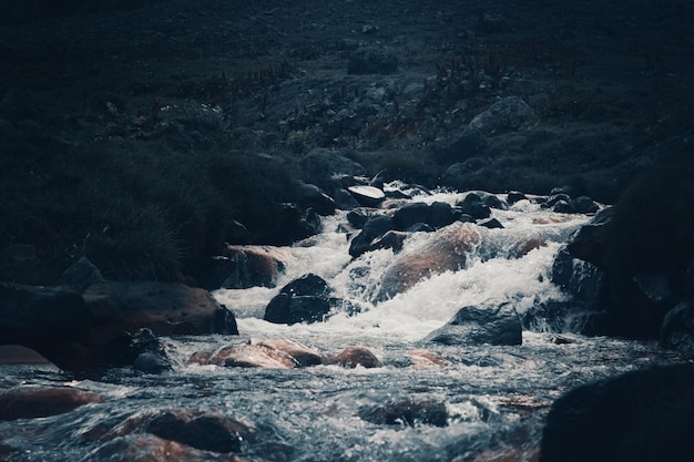 Kleine mooie rivier in het bos