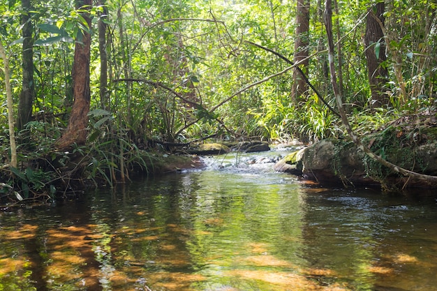 kleine mooie rivier