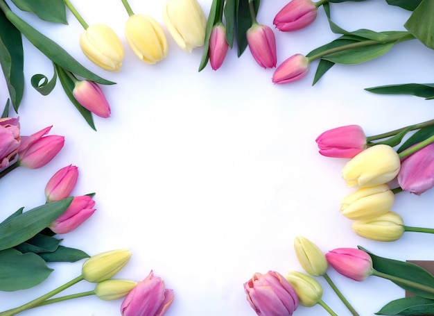 Kleine mooie tulpen op de witte achtergrond in de cirkel zijn gerangschikt