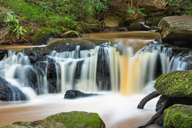 Kleine Nairobi River Waterfall in Kenia