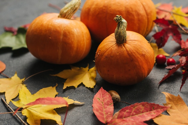 Kleine oranje pompoenen en herfst esdoorn bladeren op een donkergrijze achtergrond