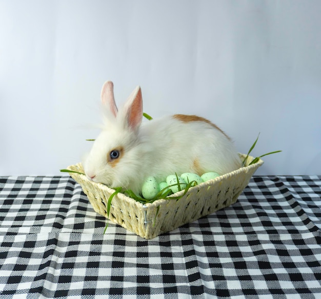 Kleine Paashaas In Mandje Met Versierde Eieren