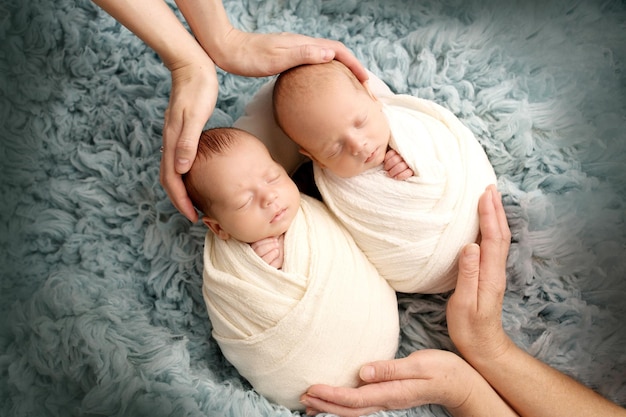Kleine pasgeboren tweelingjongens in witte cocons op een blauwe achtergrond Ouders moeder en vader houden de kinderen-tweeling met hun handpalmen Professionele studiofotografie van pasgeboren tweelingen
