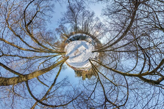 Kleine planeet Sferische luchtfoto 360 panoramisch uitzicht in het winterbos in zonnige winterdag op blauwe achtergrond