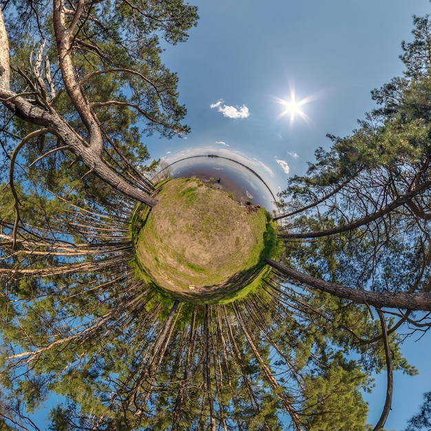 Kleine planeettransformatie van bolvormig panorama 360 graden bolvormige abstracte luchtfoto in bos kromming van de ruimte