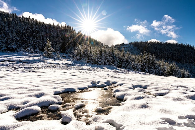 Kleine plas gesmolten sneeuw in de lentezon in de Karpaten