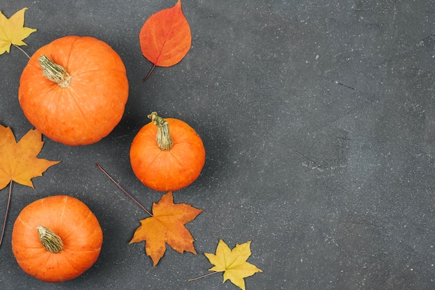 Kleine pompoenen en oranje esdoornbladeren op donkergrijze textuur