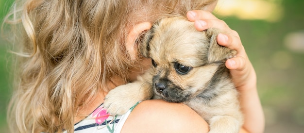 Kleine puppy zittend op schouder