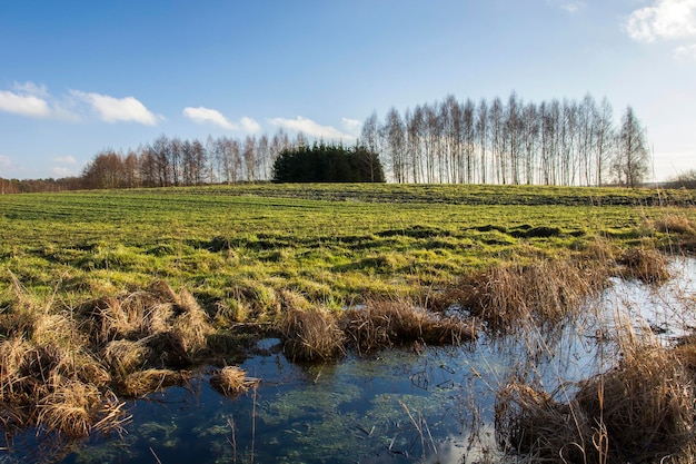 Foto kleine rivier en groene veldbomen aan de horizon