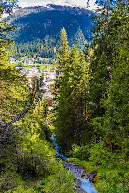 Kleine rivier in het bos van de Alpen Davos Graubuenden Zwitserland