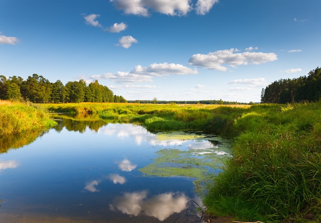 Kleine rivier op groen veld op achtergrondhemel