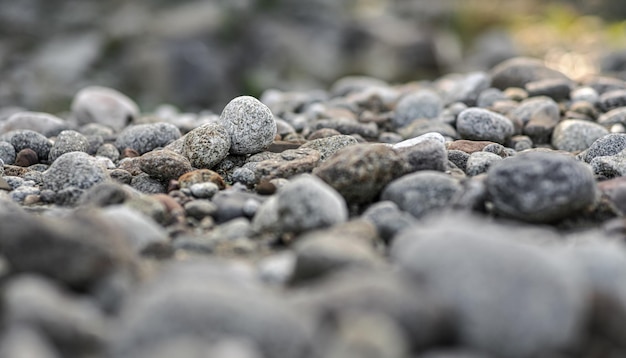 Kleine ronde rotsen op een rivierstrand Lage hoek ondiepe scherptediepte foto