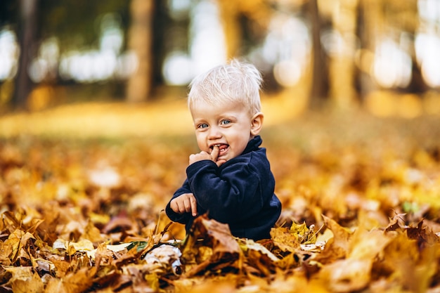 Kleine schattige babyjongen veel plezier buiten in het park in de herfst tijd.