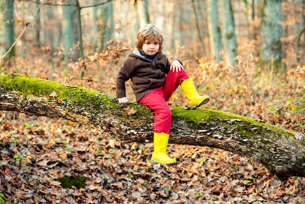 Kleine schattige jongen in herfst park schattig gelukkig kind spelen in Fall Leaves buiten