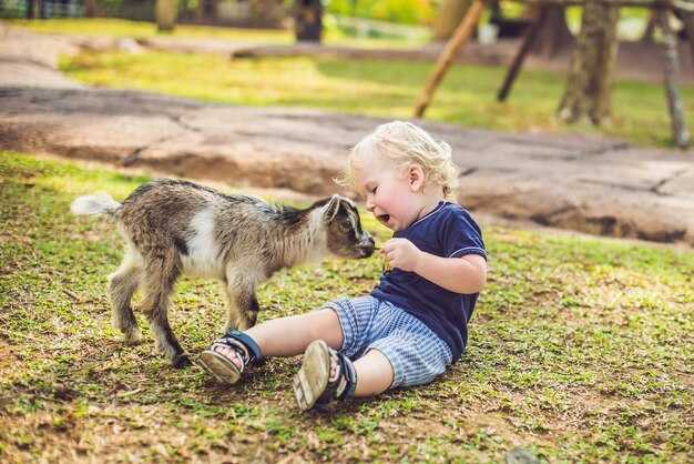Kleine schattige jongen voedt een kleine pasgeboren geit