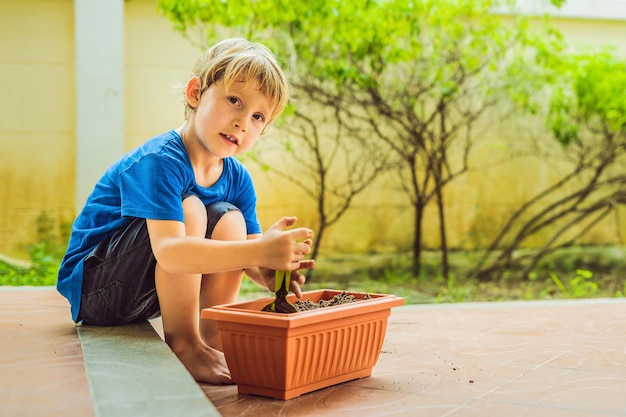 Kleine schattige jongen zaait zaden in een bloempot in de tuin