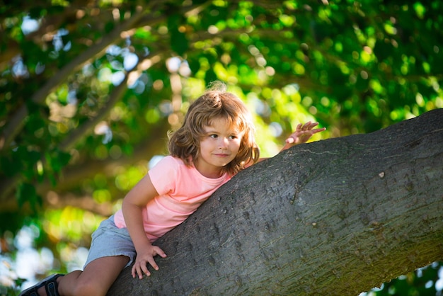 Kleine schattige peuter jongenskind met plezier en klimmen op boom in zomer bos