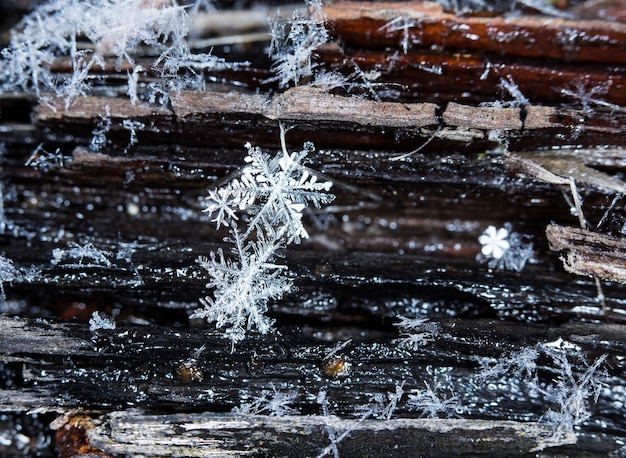 kleine sneeuwvlok tijdens een sneeuwval